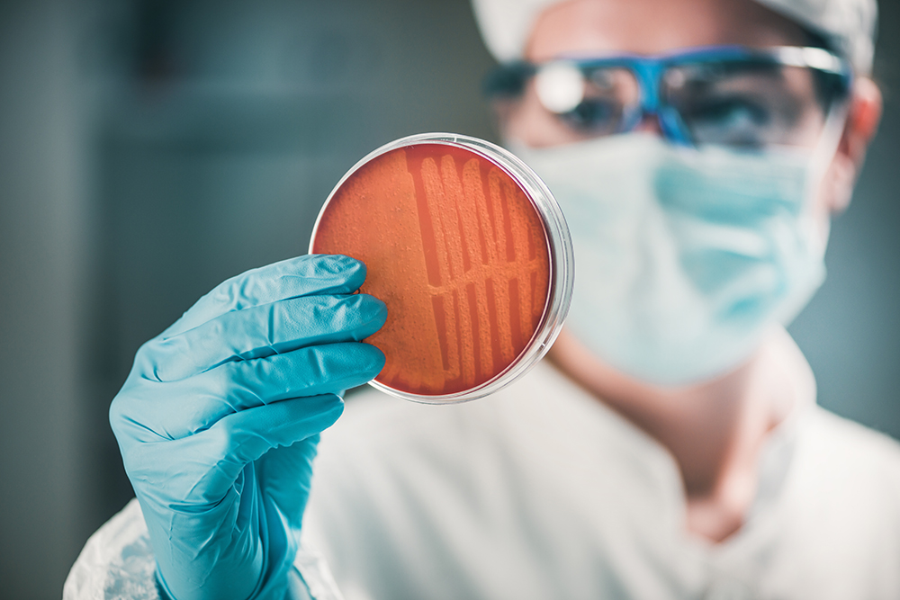 scientist holding up and examining petri dish